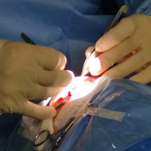 WhatsApp Image 2021-11-25 at 10.40.41 AM (1)